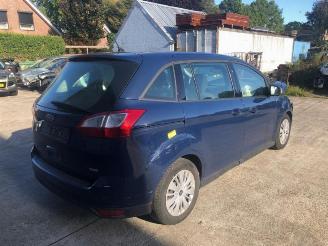 Ford Grand C-Max Grand C-Max (DXA), MPV, 2010 / 2019 1.0 Ti-VCT EcoBoost 12V 100 picture 6