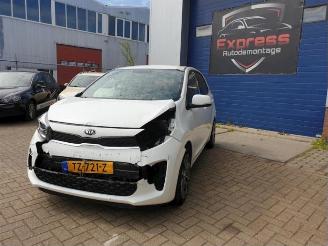 Coche siniestrado Kia Picanto Picanto (JA), Hatchback, 2017 1.0 12V 2018/11