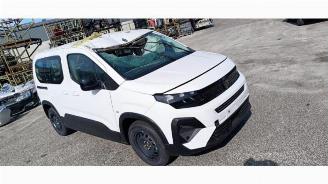 Peugeot Rifter Rifter (ER/EC/EZ), MPV, 2018 e-Rifter picture 4