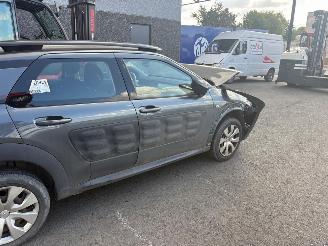 Citroën C4 cactus  picture 10