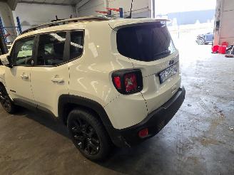 Jeep Renegade  picture 6