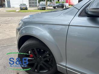 Audi Q7 Q7 (4LB), SUV, 2005 / 2015 3.0 TDI V6 24V picture 21