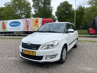 Damaged car Skoda Fabia TMBJK25J3C3146746 2012/5