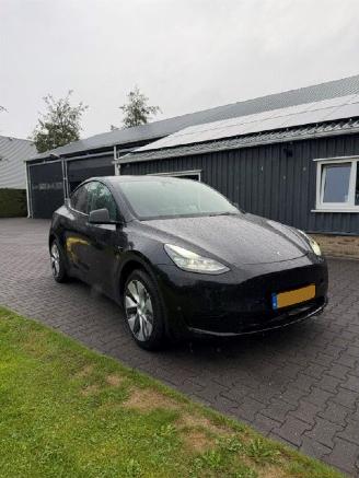 Schadeauto Tesla Model Y RWD 58 kwh 2024/4