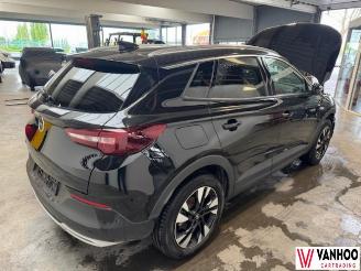 Opel Grandland X picture 12