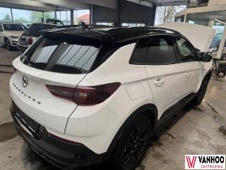 Opel Grandland X picture 6