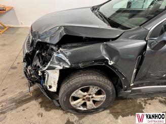 Opel Antara  picture 2