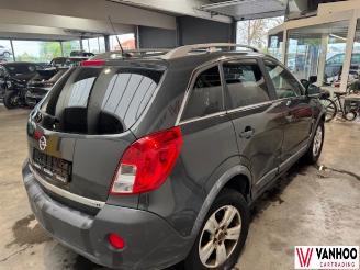 Opel Antara  picture 8