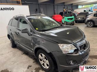 Opel Antara  picture 4