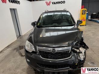 Opel Antara  picture 3