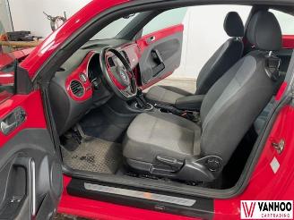 Volkswagen Beetle  picture 18