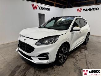uszkodzony samochody osobowe Ford Kuga  2023/7