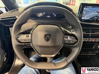 Peugeot 2008  picture 19