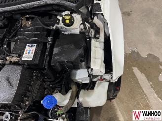 Ford Fiesta  picture 8