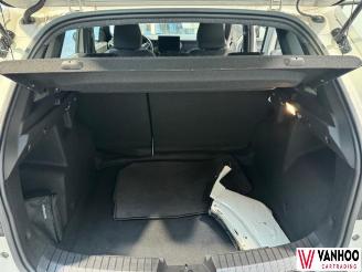 Dacia Duster  picture 14