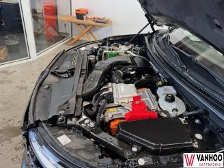 Renault Austral  picture 12