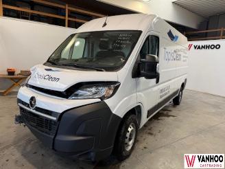 Damaged car Opel Movano  2024/11