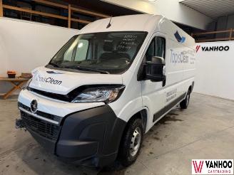 Auto incidentate Opel Movano  2024/11