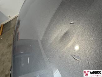 Citroën C4 PICASSO picture 2