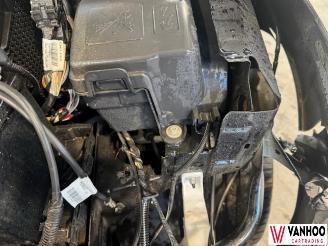 Renault Clio  picture 10