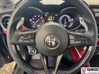 Alfa Romeo Stelvio  picture 20