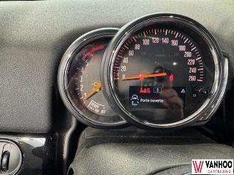 Mini Cooper  picture 18