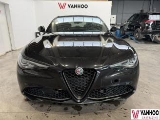 Alfa Romeo Giulia  picture 2