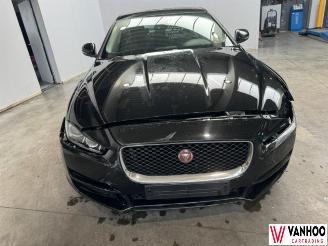 Jaguar XE  picture 3