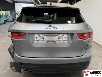 Jaguar F-Pace  picture 6