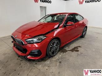 Damaged car BMW 2-serie  2024/9