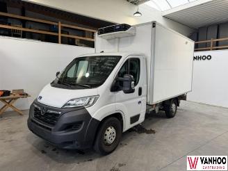 skadebil auto Opel Movano  2022/9