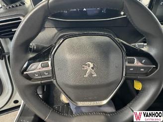 Peugeot 2008  picture 17