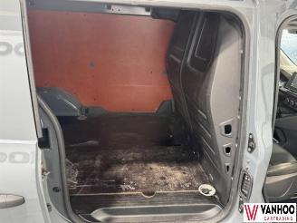 Renault Kangoo  picture 11