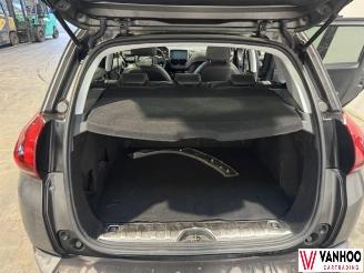 Peugeot 2008  picture 12