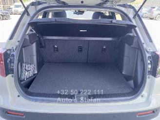 Suzuki Vitara  picture 35