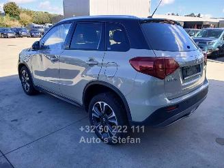 Suzuki Vitara  picture 6