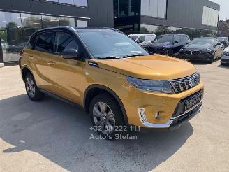 Avarii autoturisme Suzuki Vitara GL + 2023/9
