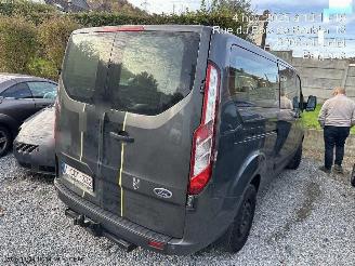 Ford Transit TOURNEO CUSTOM picture 14
