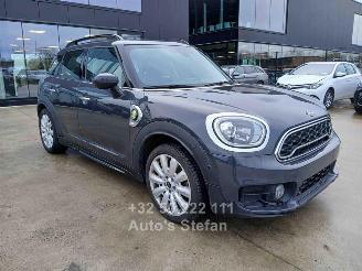 skadebil auto Mini Cooper SE COUNTRYMAN 4ALL 2019/12