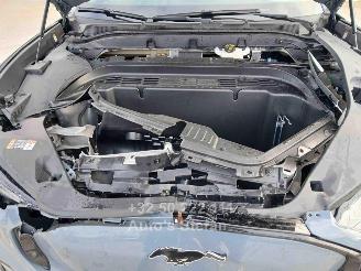 Ford Mustang MACH-E PREMIUM picture 21