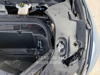 Ford Mustang MACH-E PREMIUM picture 13