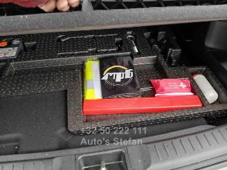 Suzuki Vitara  picture 18