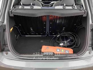 Fiat 500 E ICON picture 13