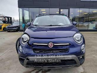Fiat 500 X picture 2