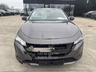 Peugeot 308 ALLURE picture 42