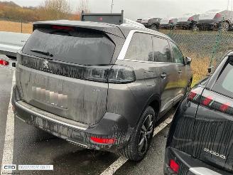 Peugeot 5008 GT picture 19