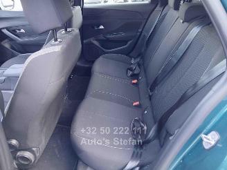 Peugeot 308 ACTIVE picture 11