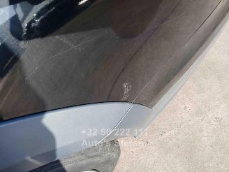 Audi A6 ALLROAD picture 30