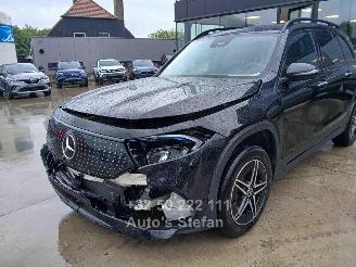 Mercedes EQB 250 + picture 3