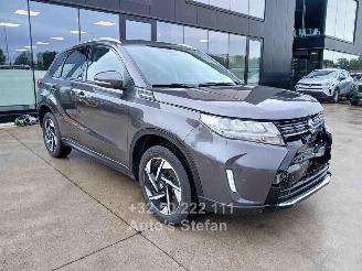 Suzuki Vitara  picture 1